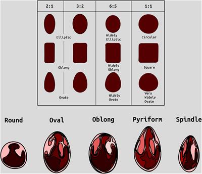 Of buds and bits: a meta-QTL study identifies stable QTL for berry quality and yield traits in cranberry mapping populations (Vaccinium macrocarpon Ait.)